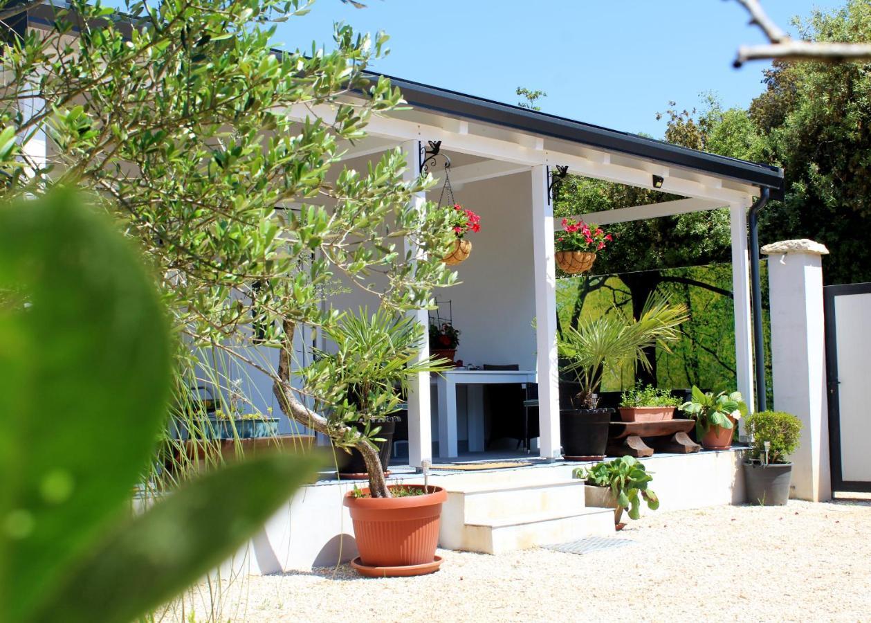Oliven Garden Villa Rovinj Exterior photo